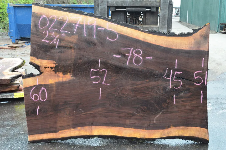 022719-05 Oregon Black Walnut Slab