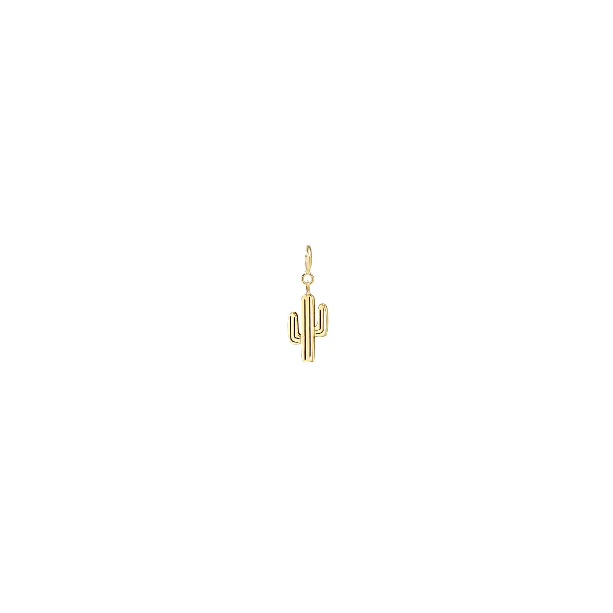 14k Single Midi Bitty Cactus Charm