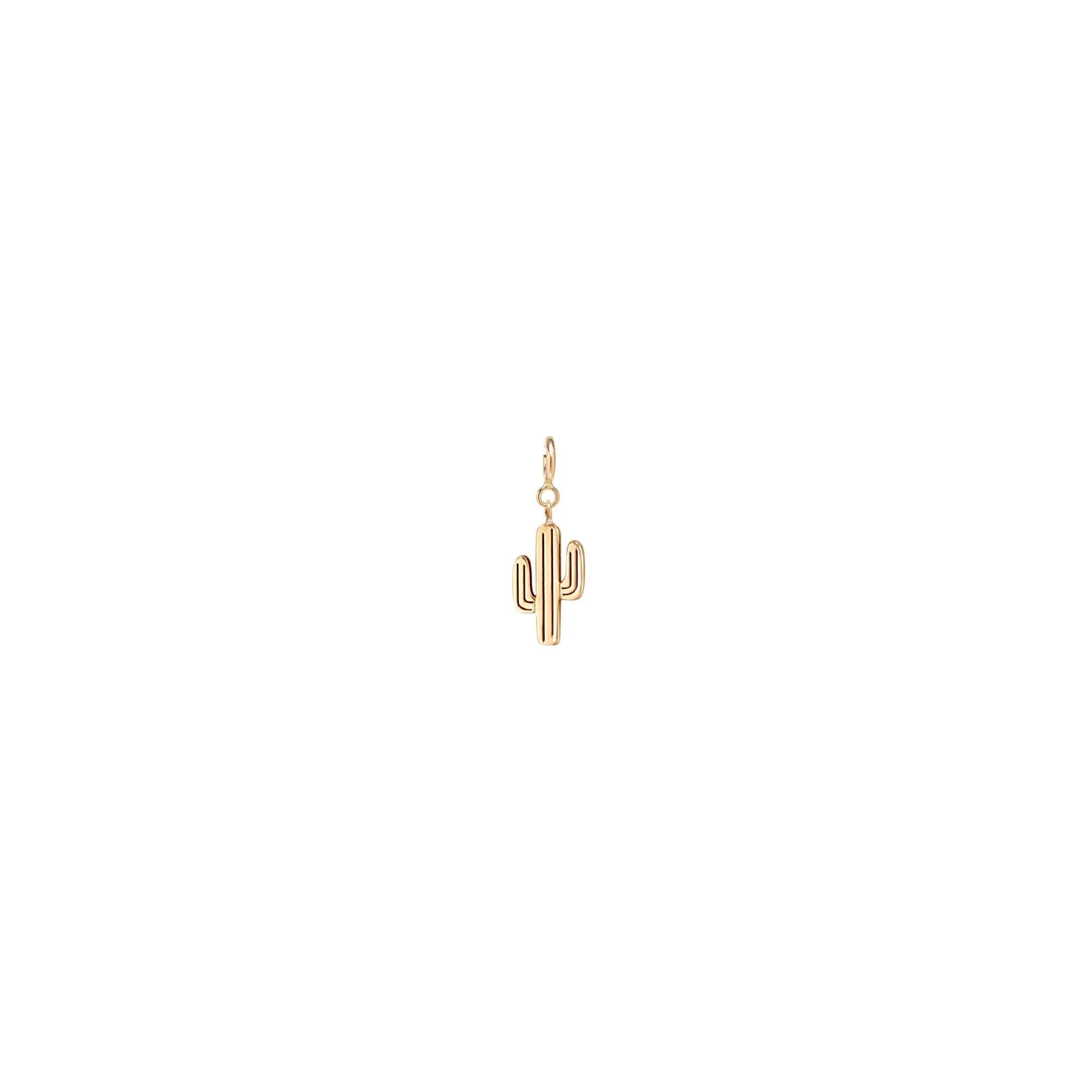 14k Single Midi Bitty Cactus Charm