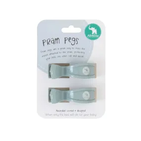 2 Pack Pegs Steel Blue