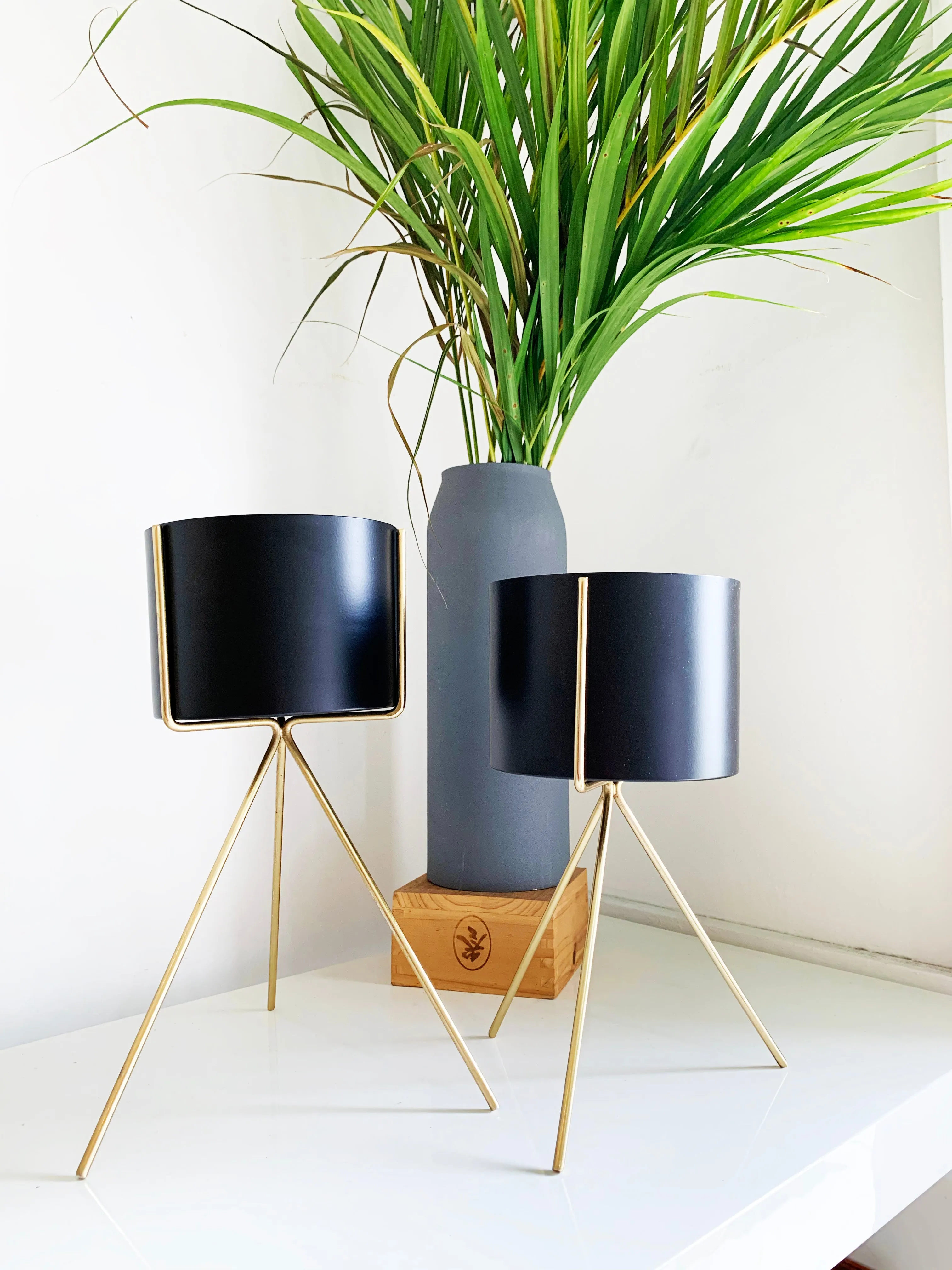 Black and Gold Cylinder Planter by Shiva Designs Bespoke