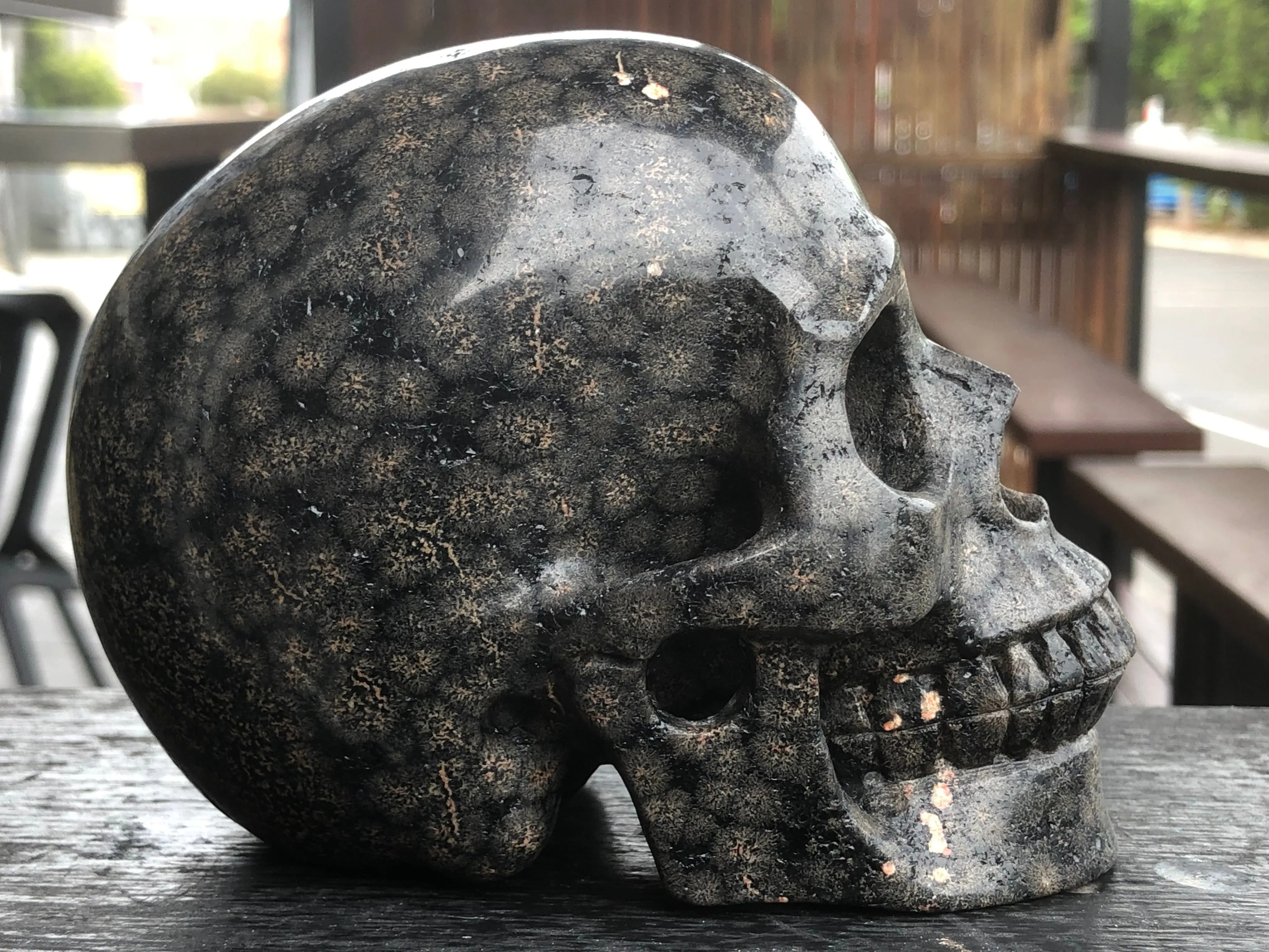 Brown Snowflake Obsidian Skull [1k1522]