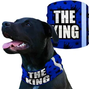 Dog Shields  | The King