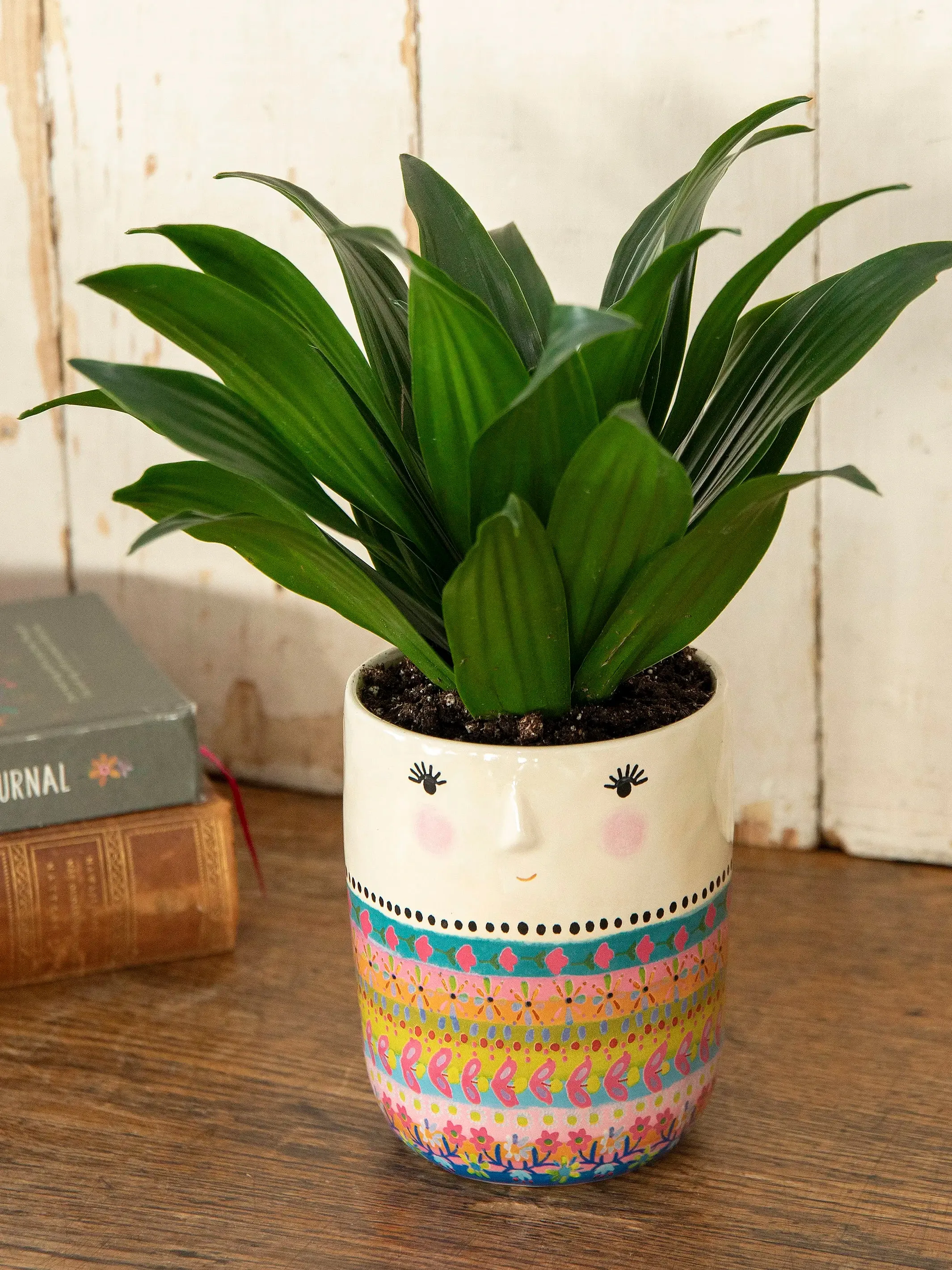 Folk Friend Planter - Folk Lady