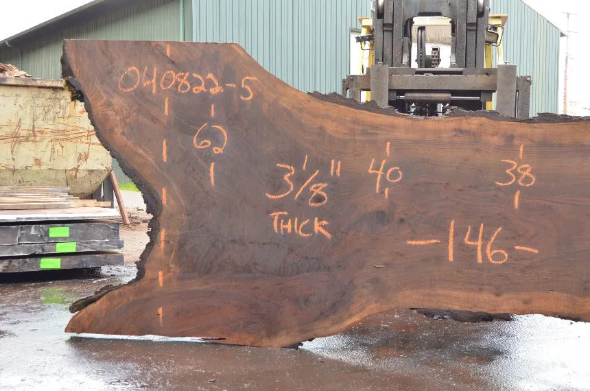 Oregon Black Walnut Slab 040822-05