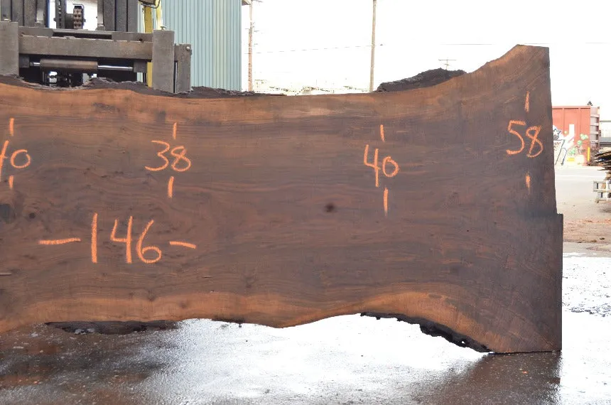 Oregon Black Walnut Slab 040822-05