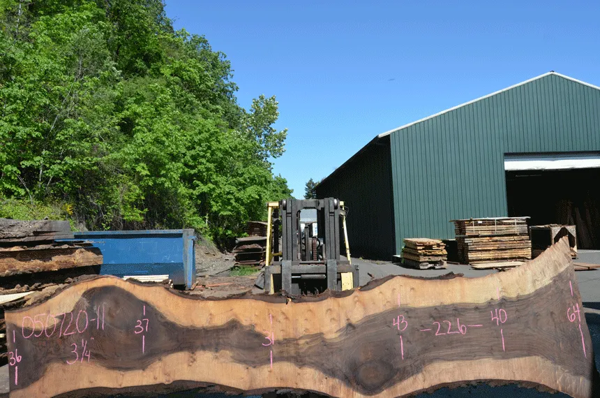 Oregon Black Walnut Slab 050720-11