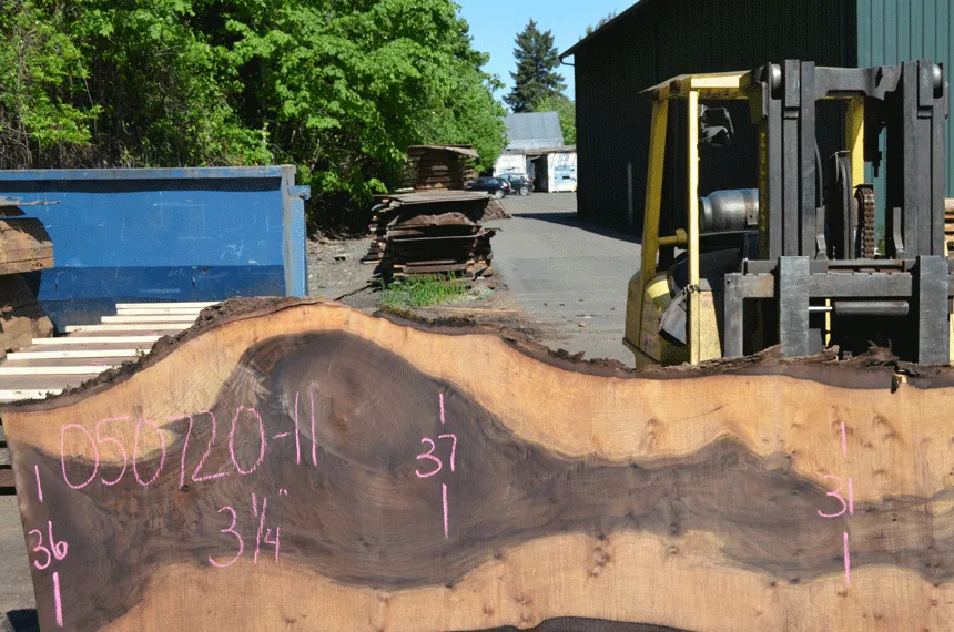 Oregon Black Walnut Slab 050720-11